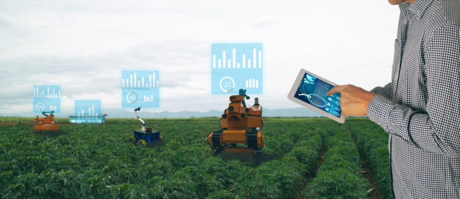 Field with robots, sensing the crops and sending data to the cloud